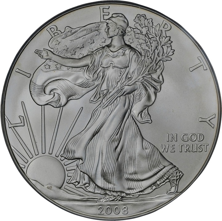 2008-W $1  Silver Eagle, Burnished, Reverse of 2007 OGP thumbnail 23