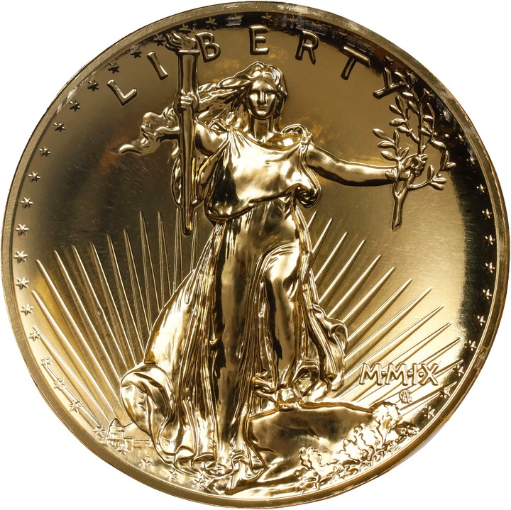 2009-P G$20  1oz Gold, Ultra High Relief MS DMPL thumbnail 3