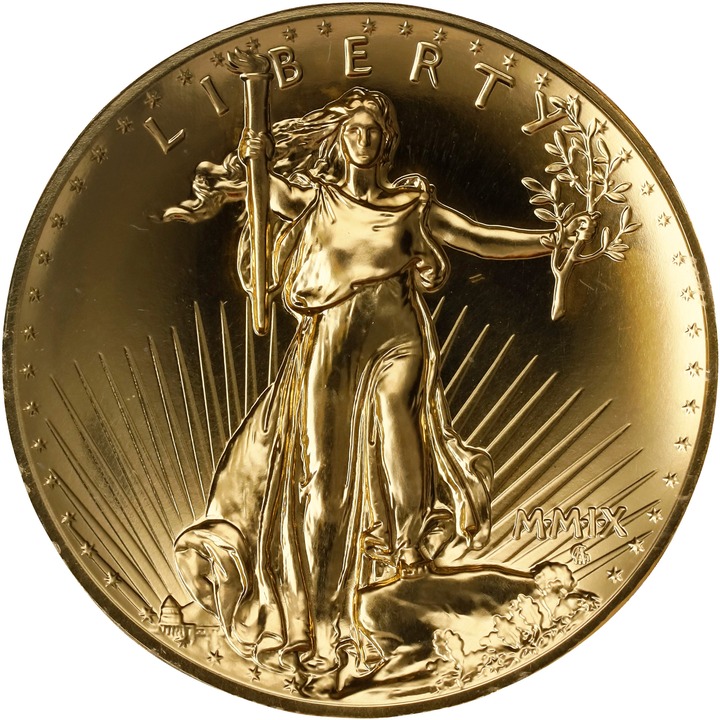 2009-P G$20  1oz Gold, Ultra High Relief MS DMPL thumbnail 4