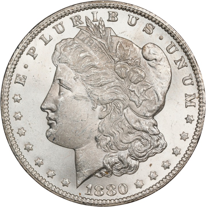 Image for 1880/79-CC $1  Reverse of 1878, GSA Hoard, Hard package MS63
