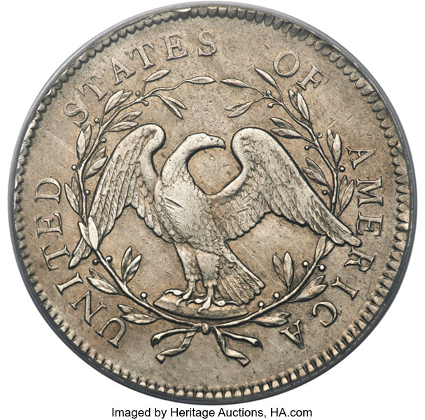 1795 $1  Flowing Hair, 2 Leaves, B-1, BB-21 MS thumbnail 14