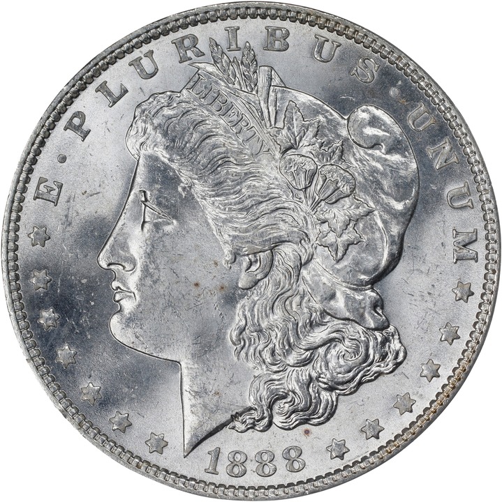 1888 $1  MS thumbnail 19