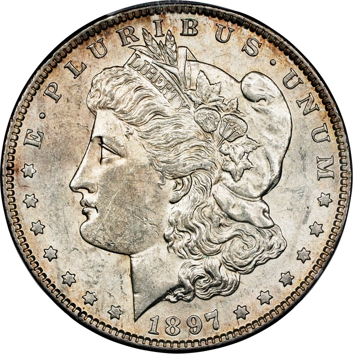 Image for 1897-S $1 VG10