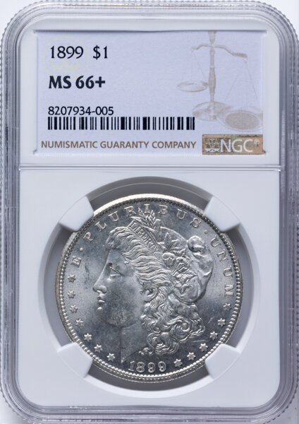 1899 $1  MS thumbnail 14