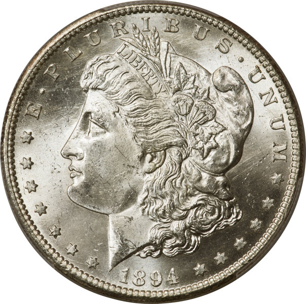 1894-S $1  Worm Eye, VAM-13 MS thumbnail 8