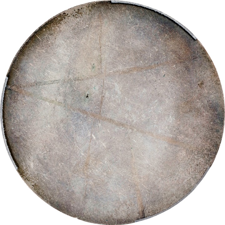 1896 Sep 16 SC$1 Bryant Dollar, 823 gr, 9 lines, Spaulding Co, Uniface, Silver, HK-786 XF40 thumbnail 7