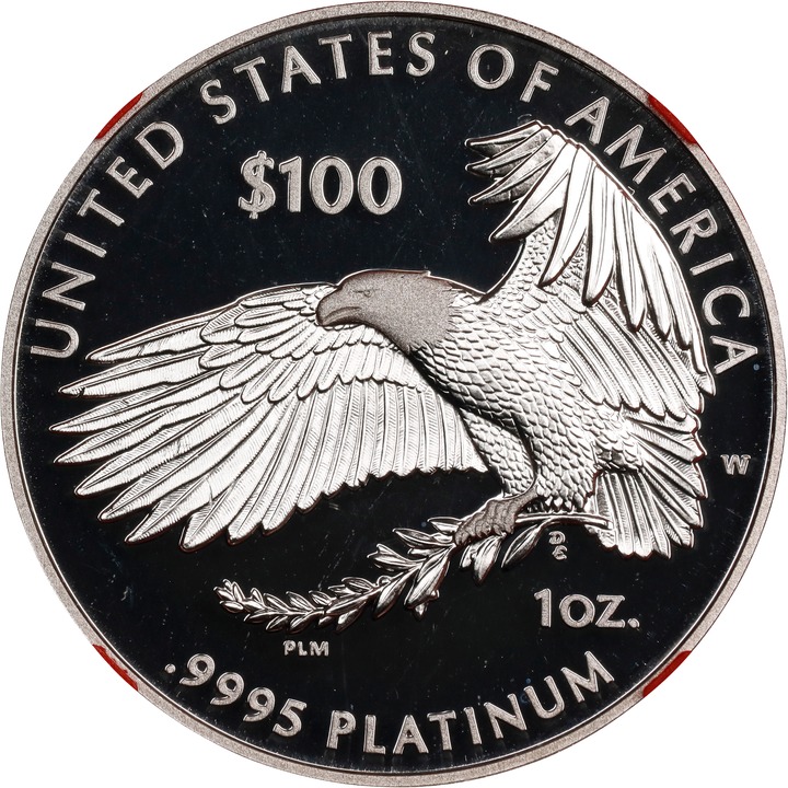 2018-W P$100  Platinum Eagle, Life PR DCAM PR66 DCAM thumbnail 6