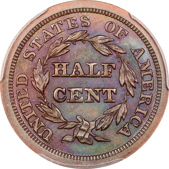 Braided Hair Half Cent 1/2c 1840-1857 PR RB [Type] PR67 RB CAC thumbnail 10