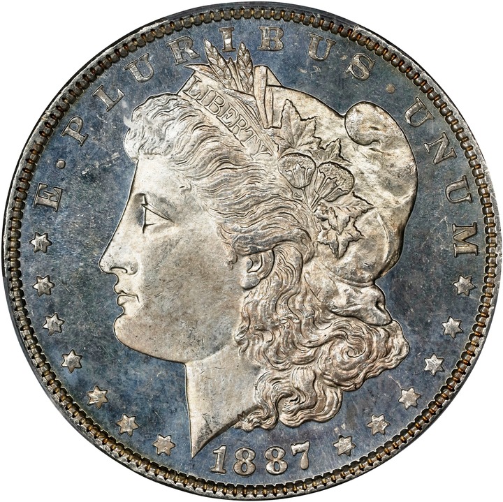 1887 $1  MS DMPL thumbnail 3
