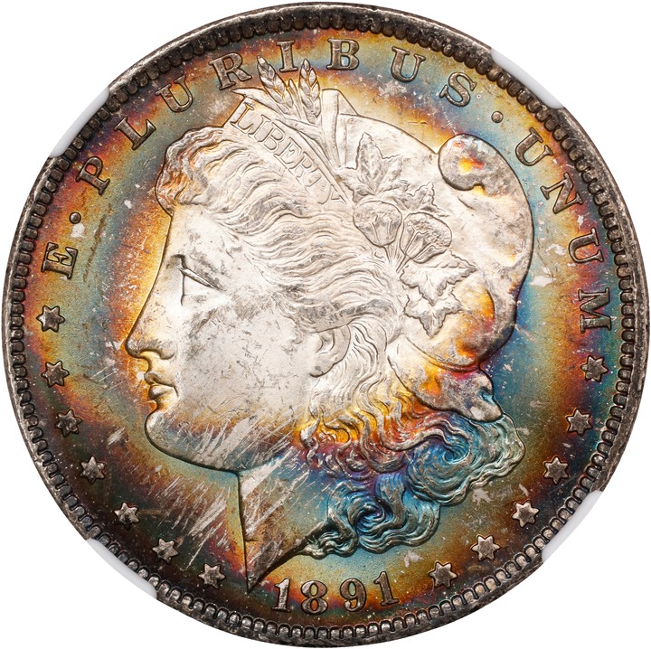 1891-CC $1  Spitting Eagle, VAM-3  MS thumbnail 8