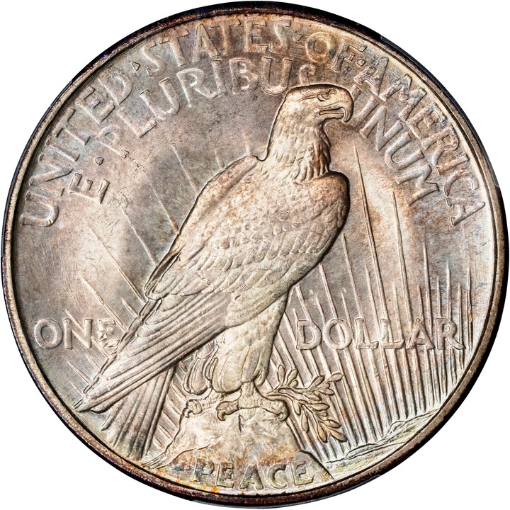 1921 $1  Peace, Polishing Lines, VAM 1H MS65 thumbnail 2