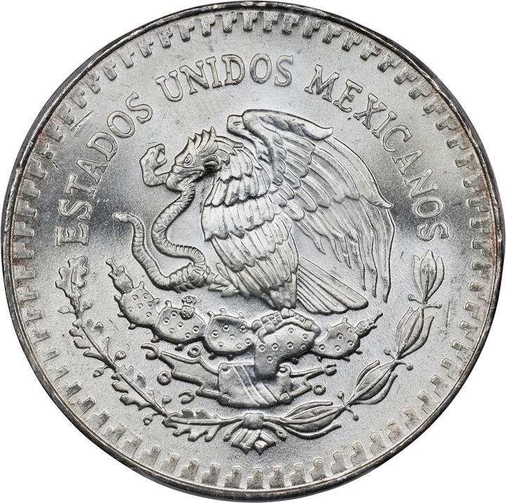 Libertad 1 Onza Silver, 31.1g [Type] MS70 thumbnail 4