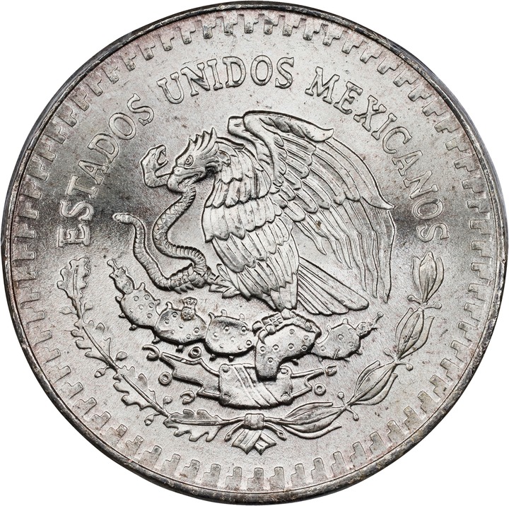 Libertad 1 Onza Silver, 31.1g [Type] MS70 thumbnail 6