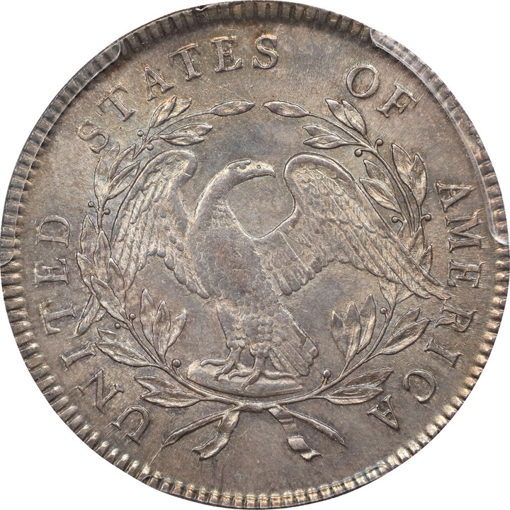 Flowing Hair Dollar $1  1794-1795 [Type] MS64 thumbnail 12