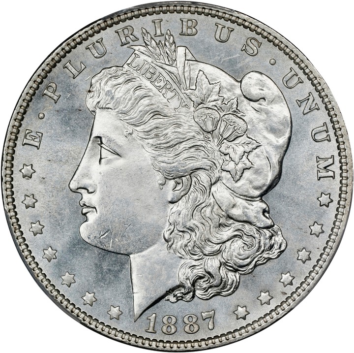 1887 $1  MS PL thumbnail 5