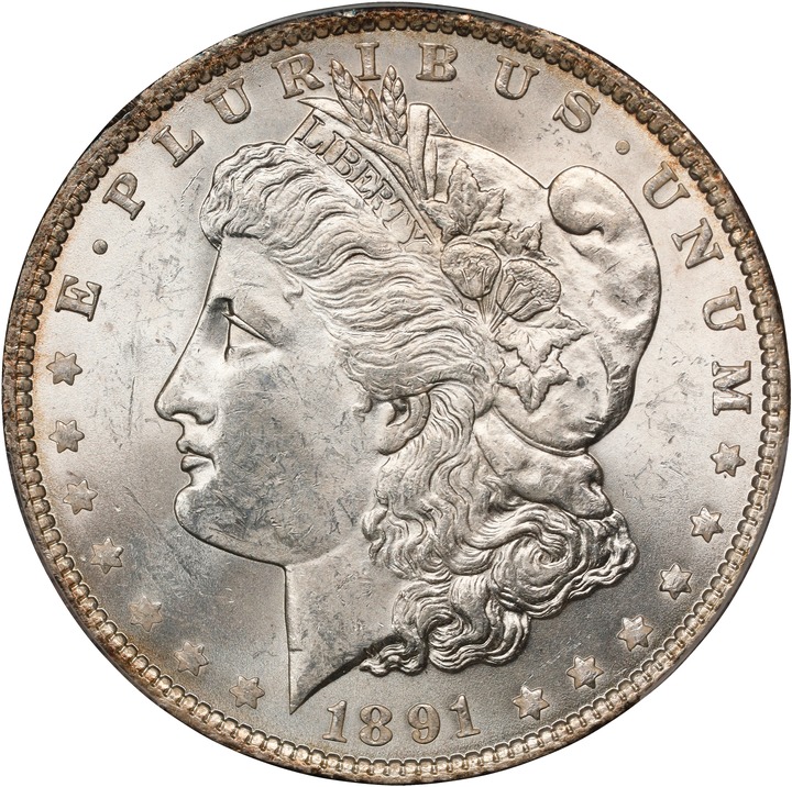 1891 $1  Doubled Ear, Die Break, VAM-9C MS thumbnail 19