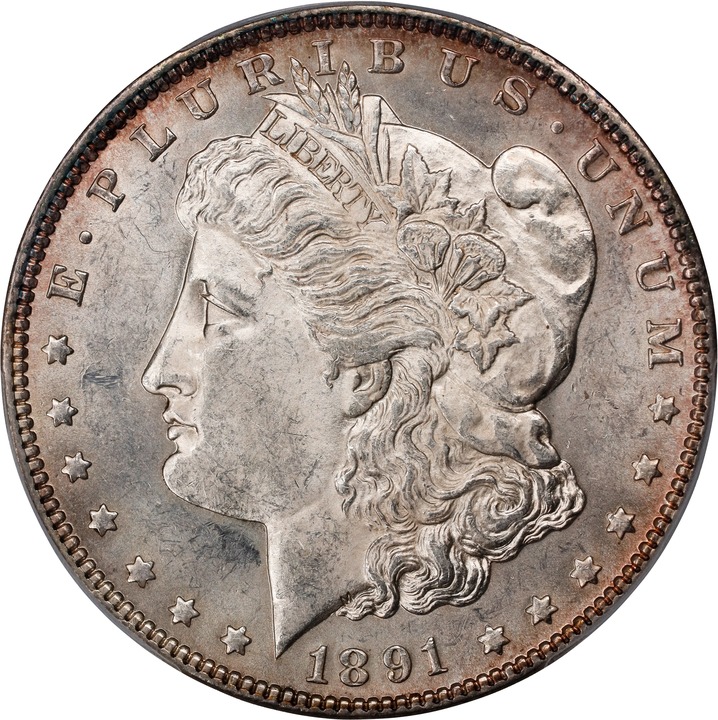1891 $1  Doubled Ear, Die Break, VAM-9C MS thumbnail 20