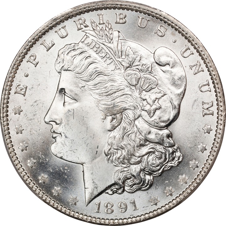 1891-O $1  MS thumbnail 14