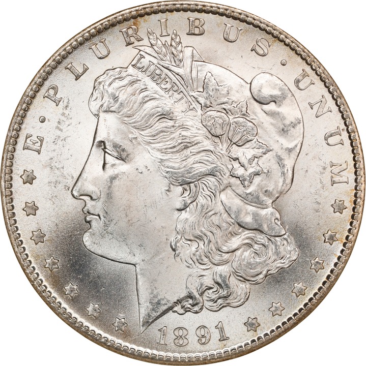 Image for 1891-S $1 MS65
