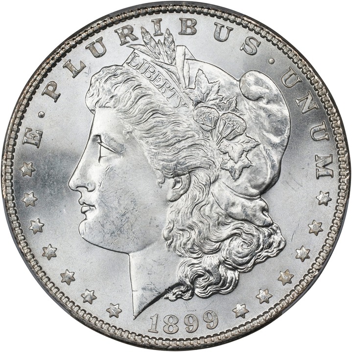 Image for 1899 $1 MS67