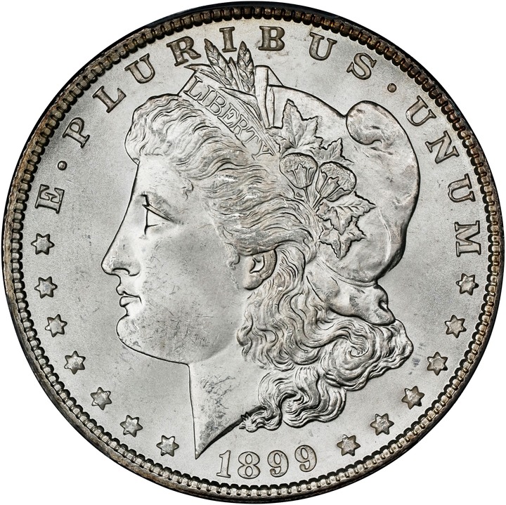 1899 $1 F12 CAC thumbnail 25