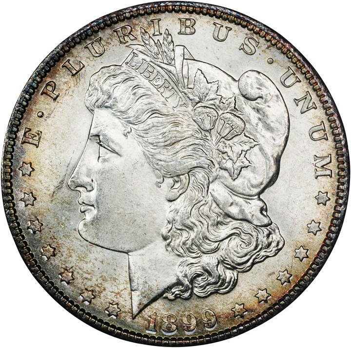 1899-S $1  MS thumbnail 19