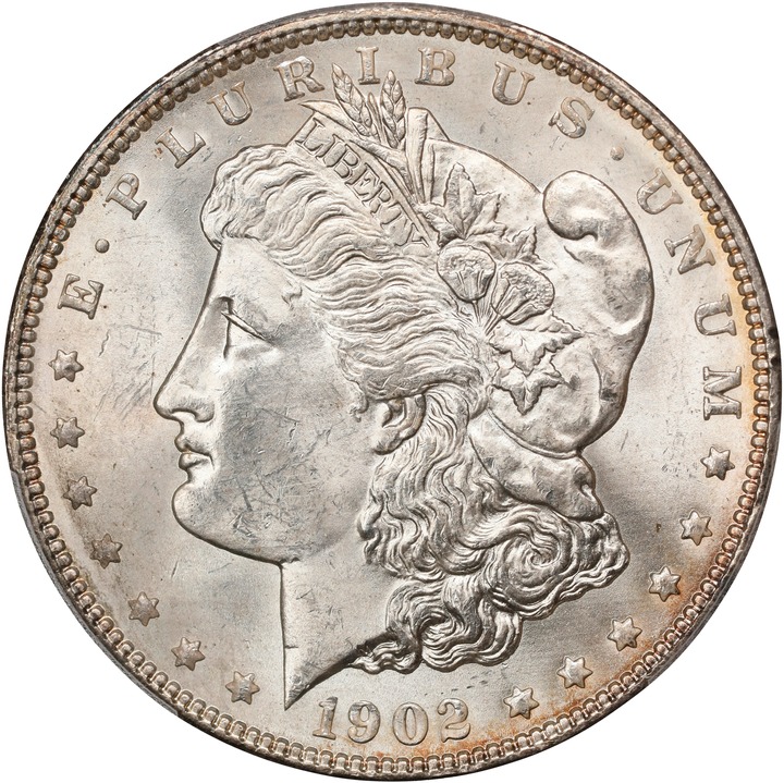 Image for 1902 $1 MS64
