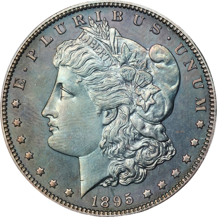 Image for 1895 $1 PR65