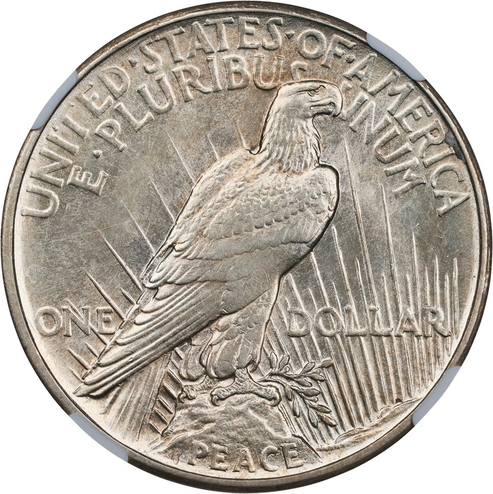1921 $1  Peace, High Relief MS61 thumbnail 2