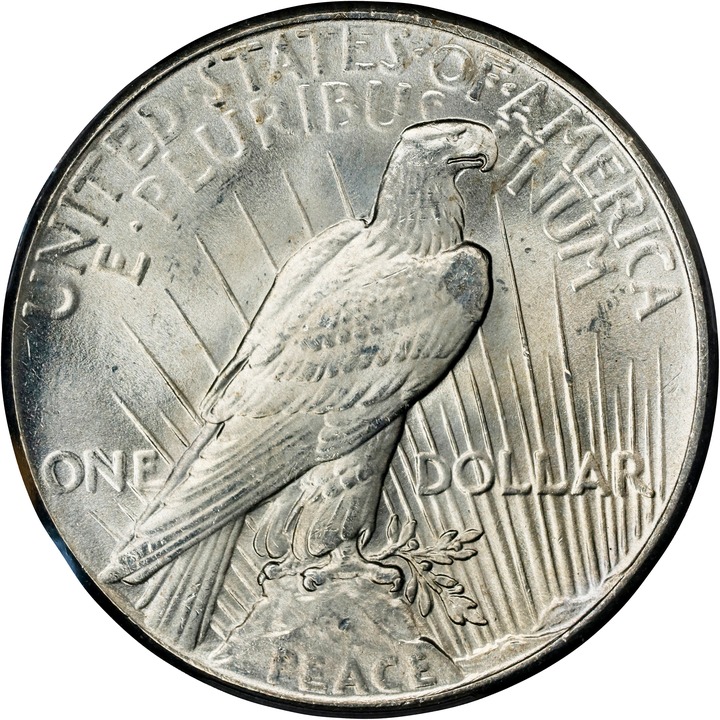 1925 $1 MS67 CAC thumbnail 4