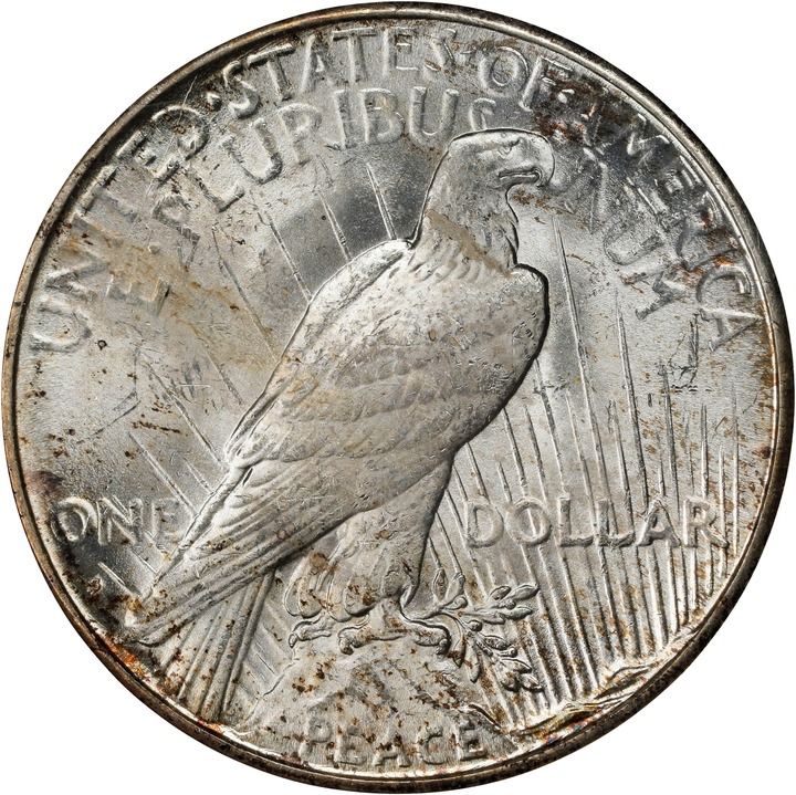 1925-S $1 MS64 CAC thumbnail 2
