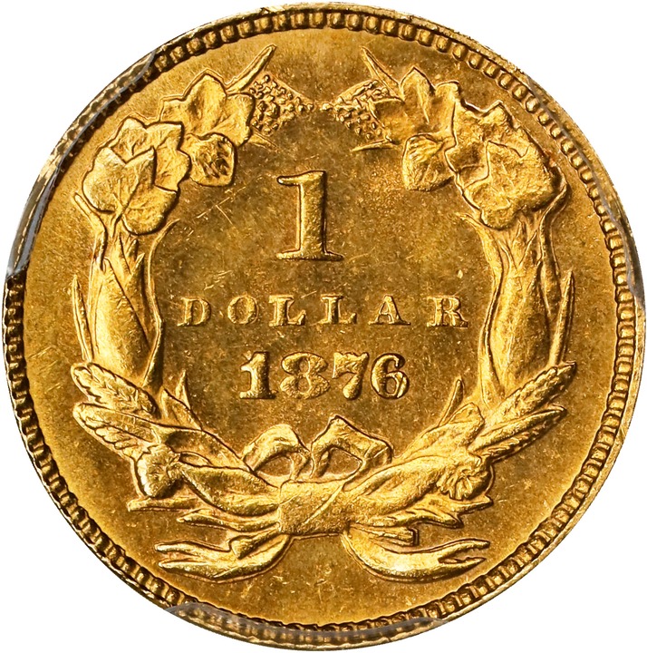 1876 G$1 MS thumbnail 18