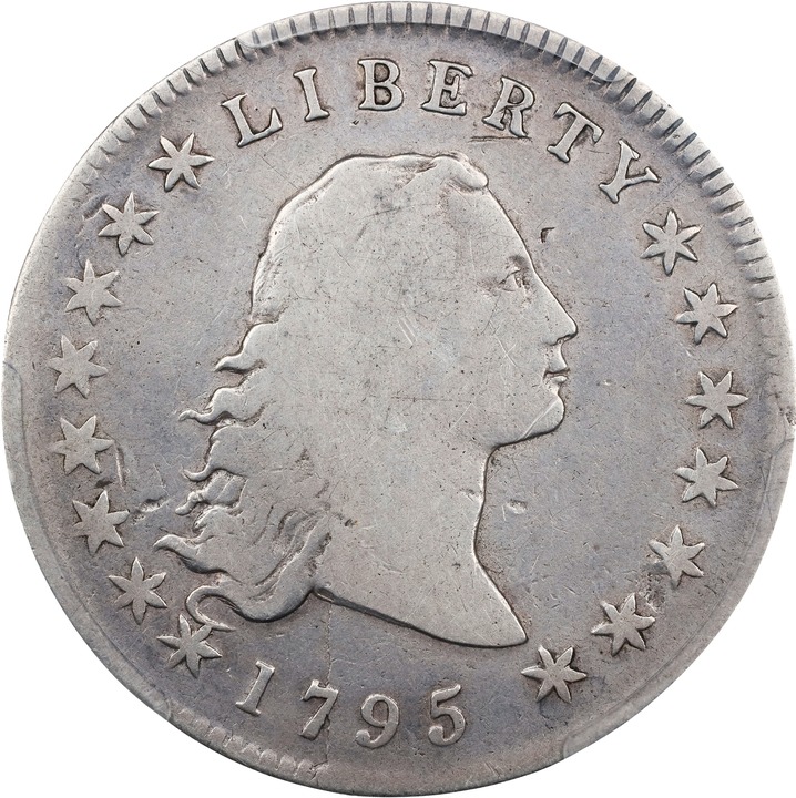Image for Flowing Hair Dollar $1  1794-1795 [Type] P1