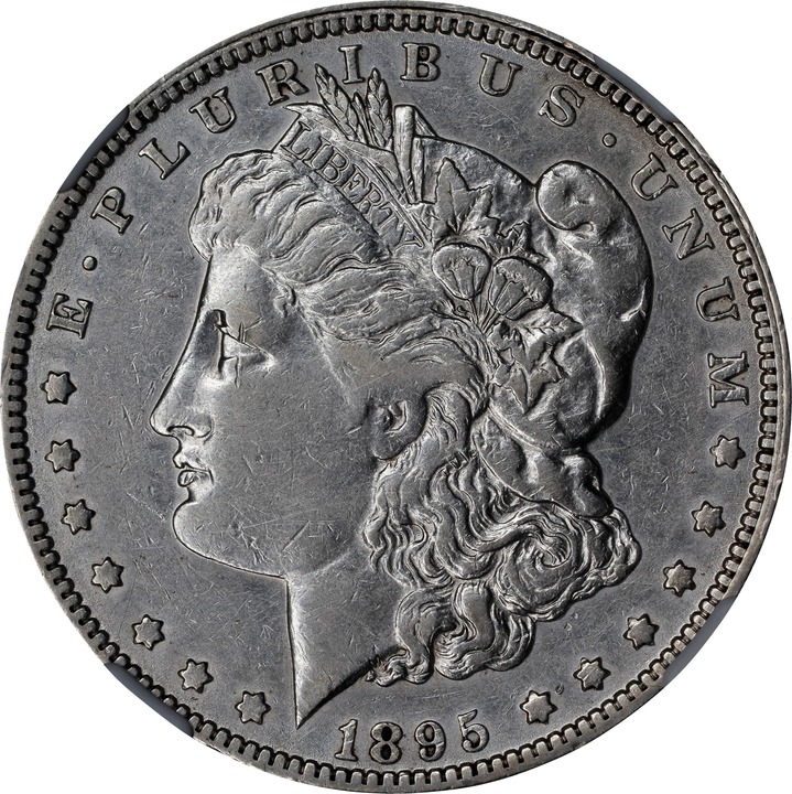 Image for 1895-O $1 P1
