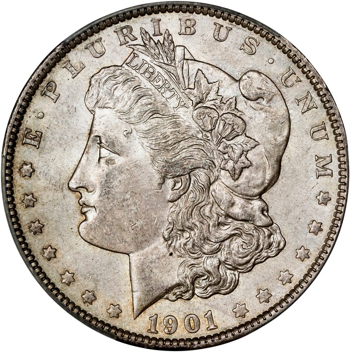Image for 1901 $1 MS61
