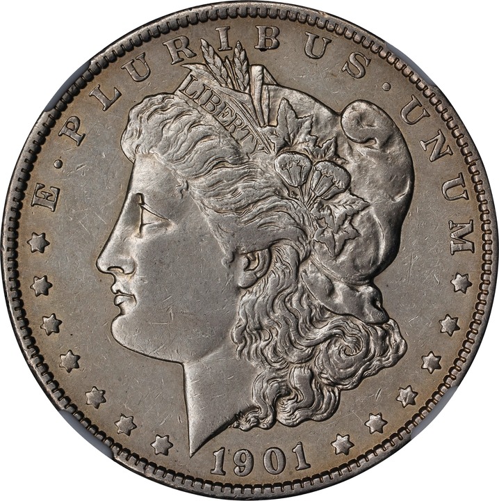 Image for 1901 $1 AG2