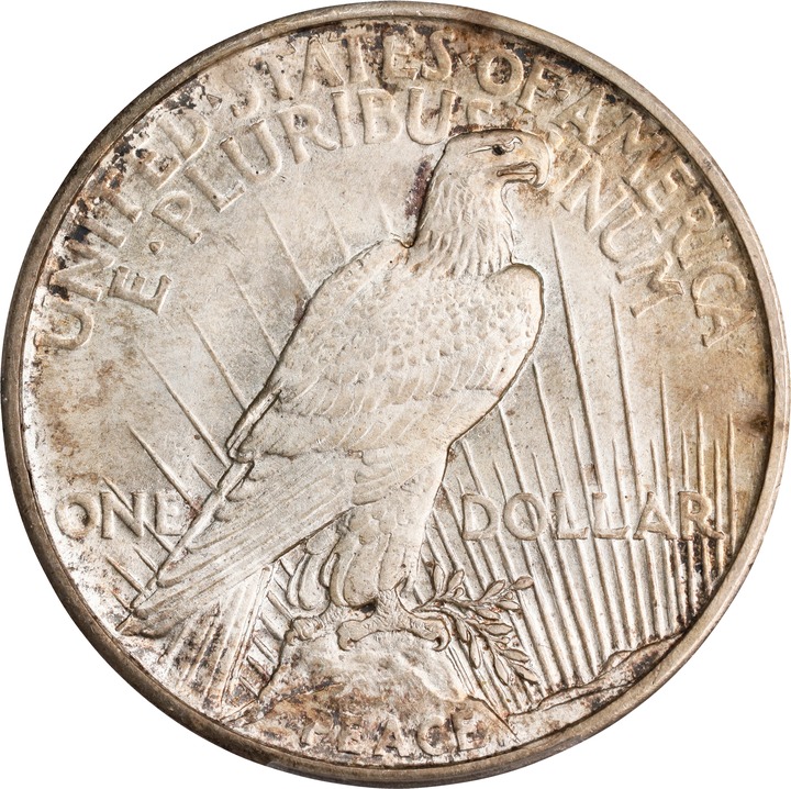 1921 $1  Peace, High Relief VG10 thumbnail 11