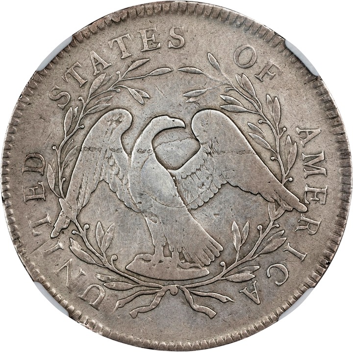 1795 $1  Flowing Hair, Silver Plug P1 thumbnail 2