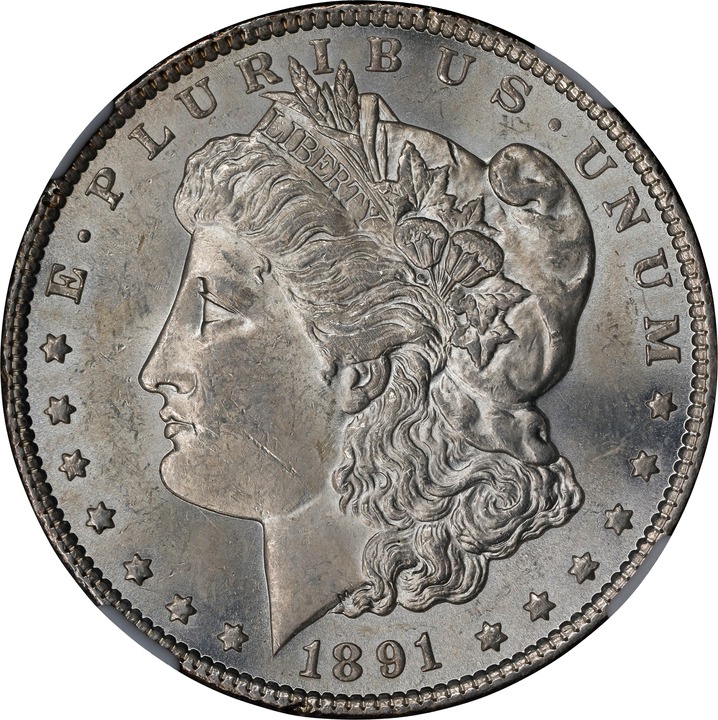 1891-CC $1  Spitting Eagle, VAM-3 VG10 thumbnail 7