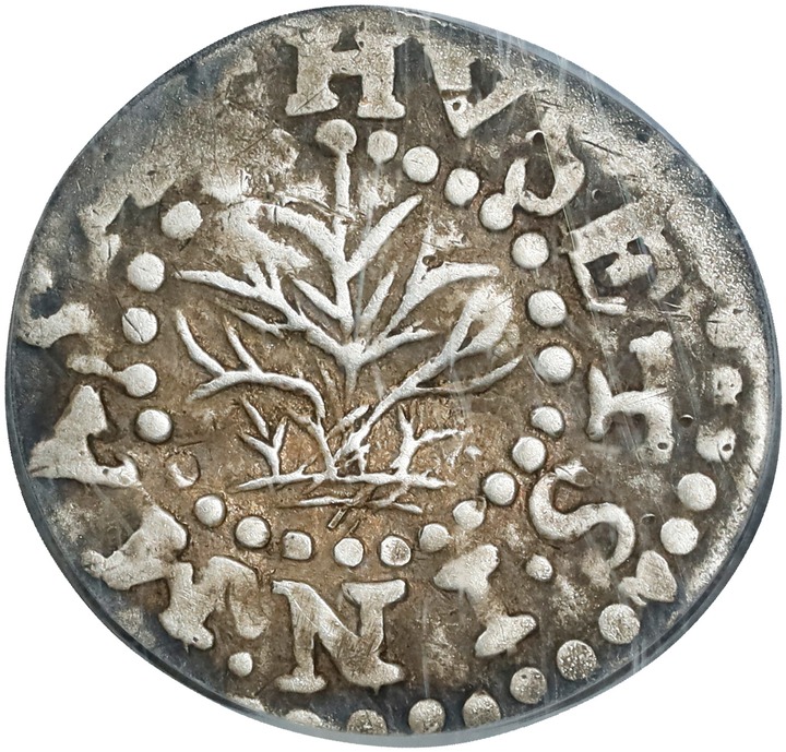1662 2P Oak Tree, Small 2 MS thumbnail 2