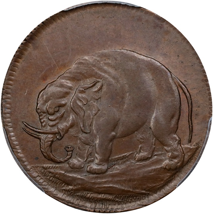 1694 1/2 P Elephant, Carolina, PROPRIETERS MS BN MS60 BN thumbnail 5