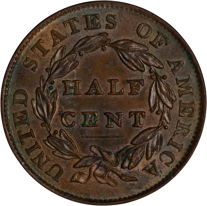 Classic Head Half Cent 1/2c 1809-1836 MS BN [Type] MS67 BN thumbnail 16