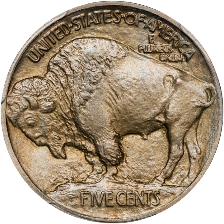 Buffalo Nickel 5c Type 1 Reverse, Matte Finish, 1913 [Type] PR66 thumbnail 10