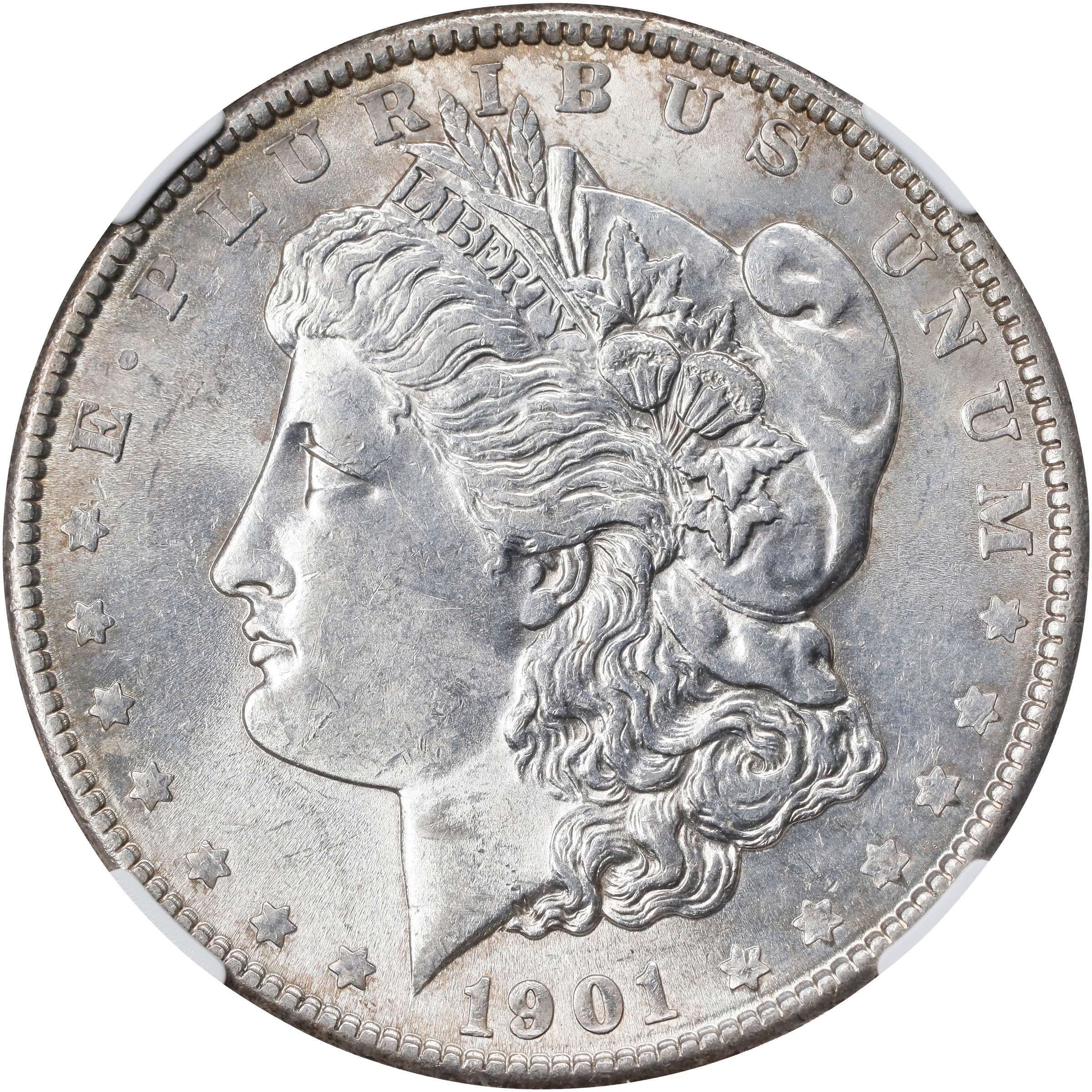 1901 $1  MS thumbnail 8
