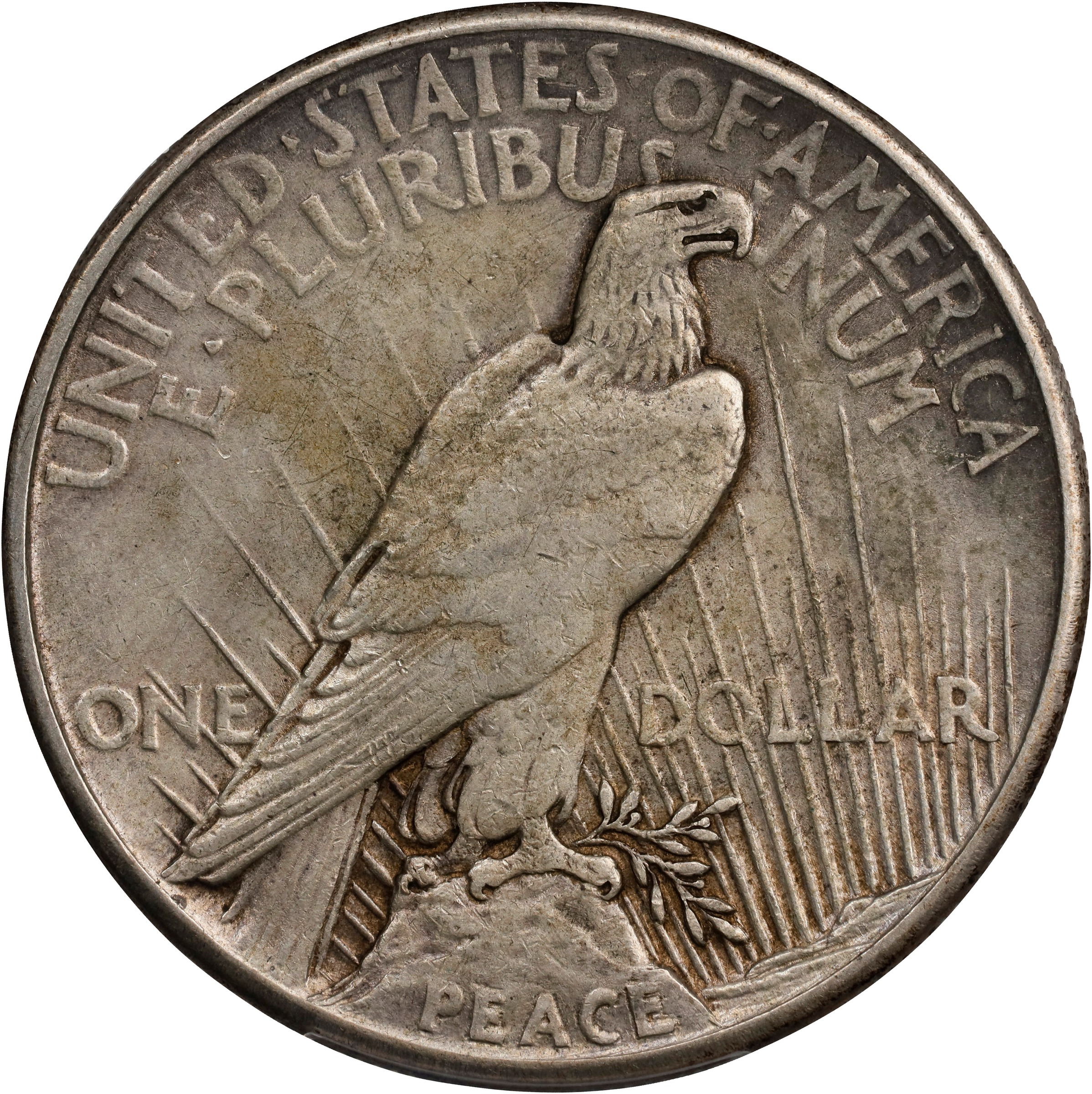1921 $1  Peace, High Relief XF40 CAC thumbnail 2