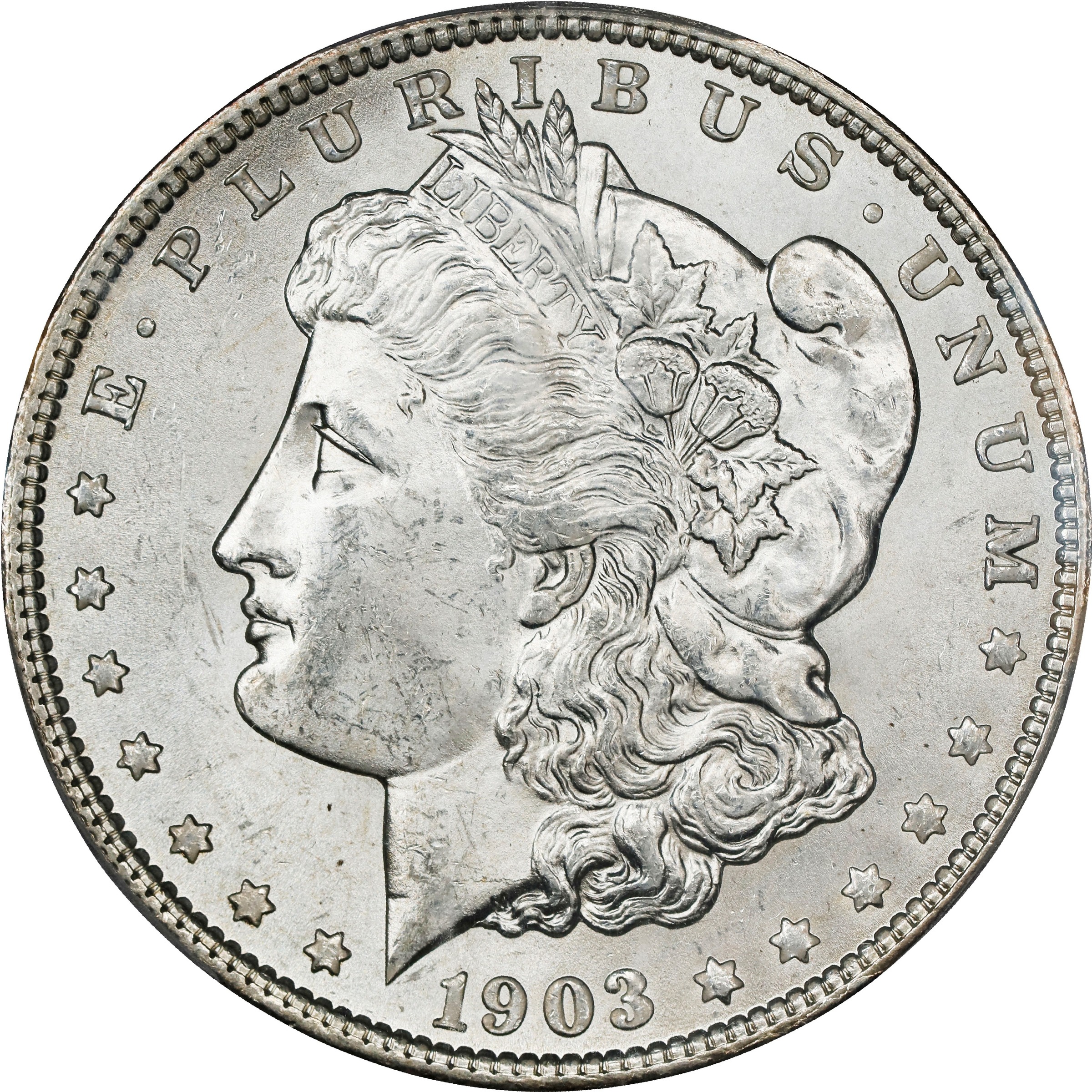 1903-O $1  Die Gouge Reverse, VAM-22 AG3 thumbnail 24