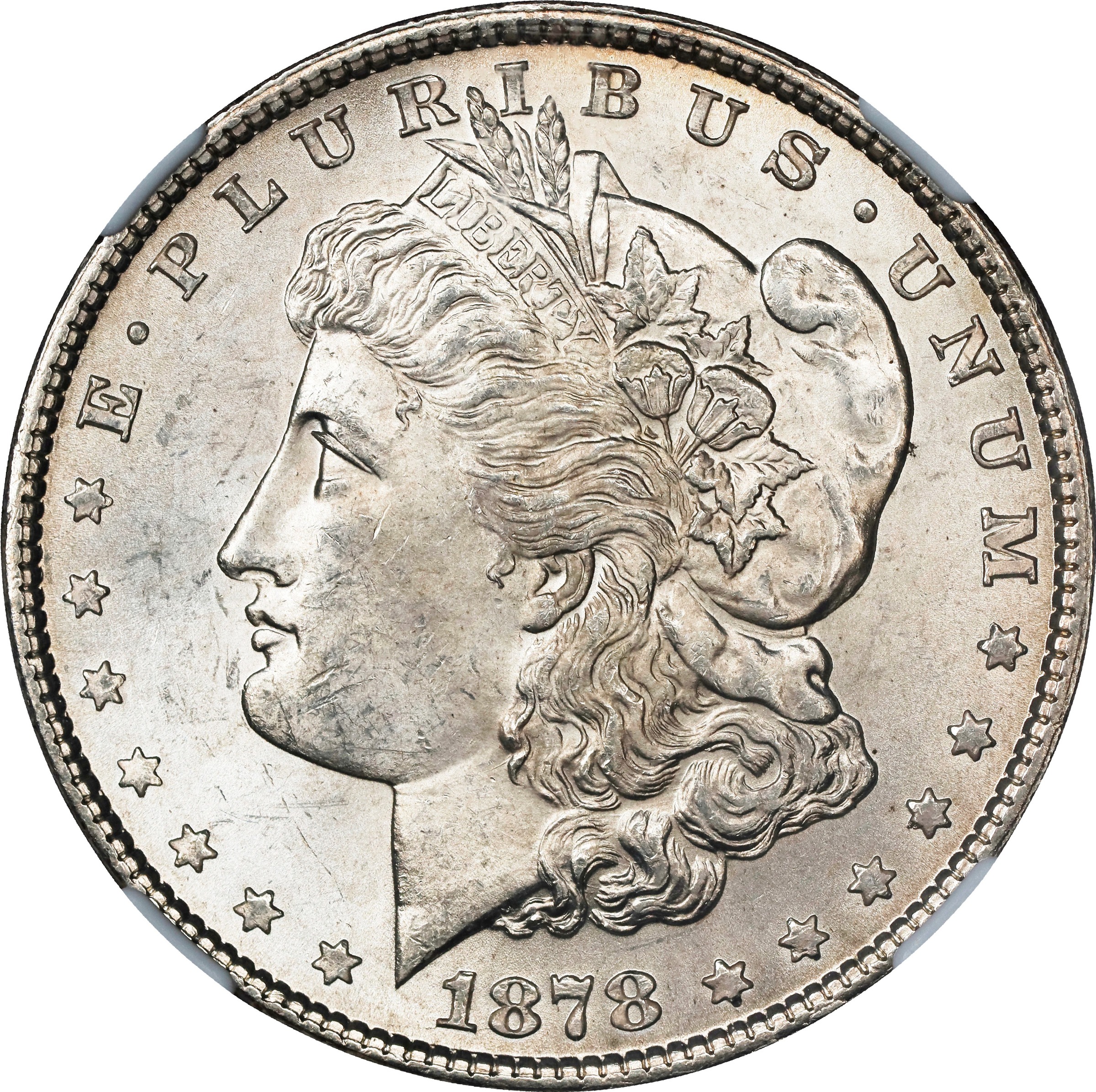 1878 7TF $1  Reverse of 1879, Short Leaf, VAM-203A MS thumbnail 8