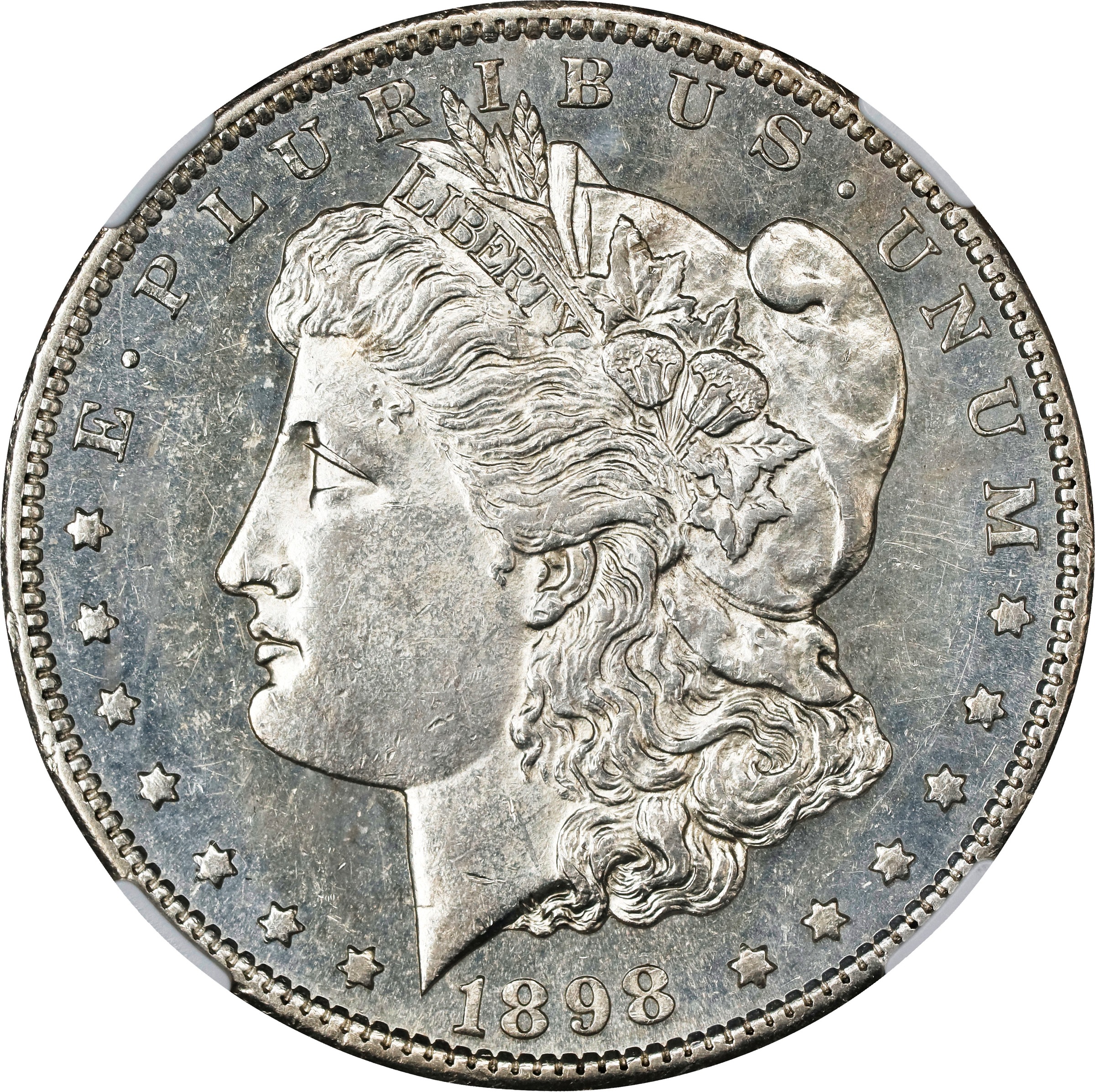 1898-S $1  GSA Hoard, Soft Package MS thumbnail 10