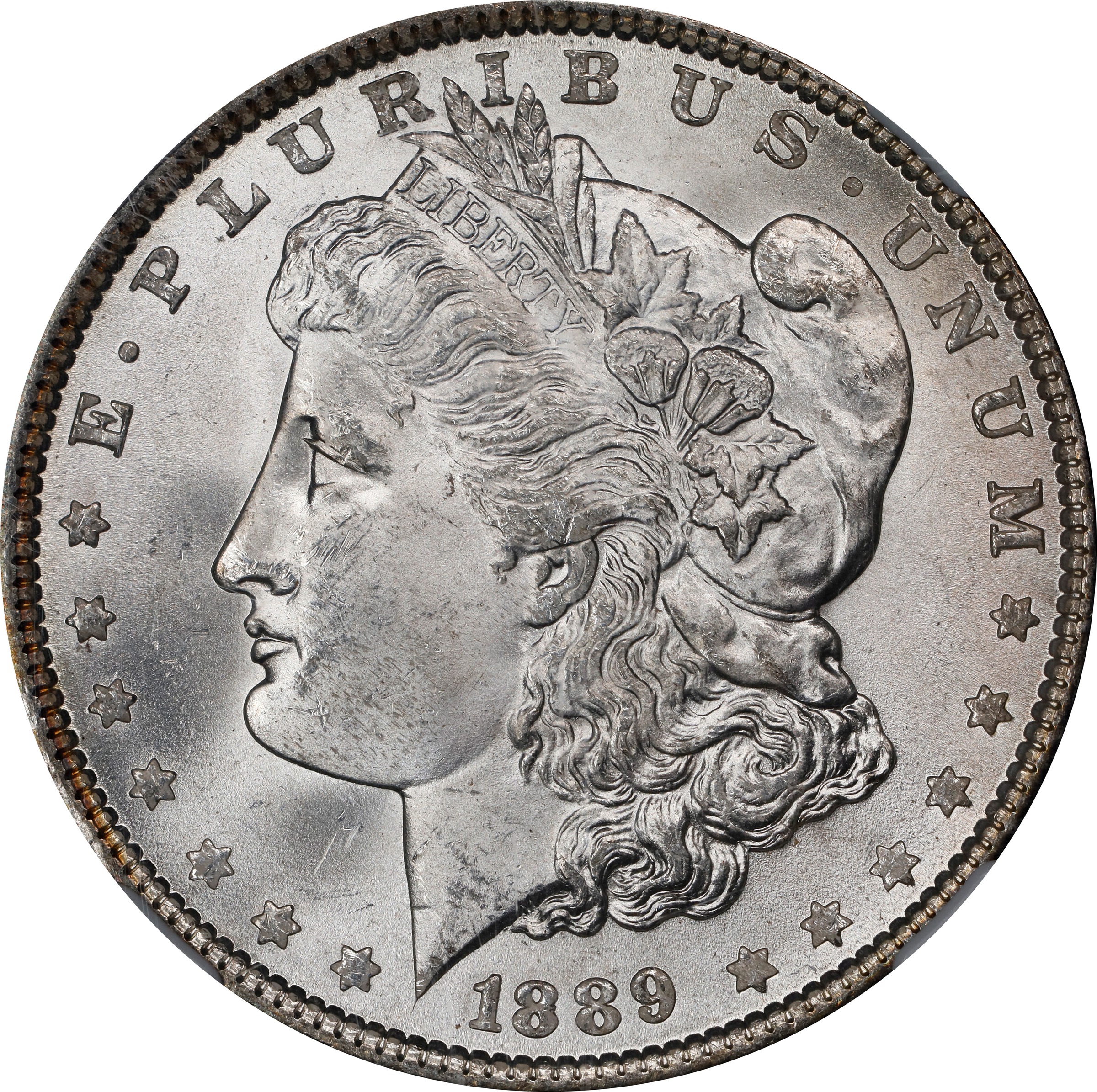 1889 $1  Die Scratches, Denticle Impressions, VAM-1C1 MS thumbnail 8