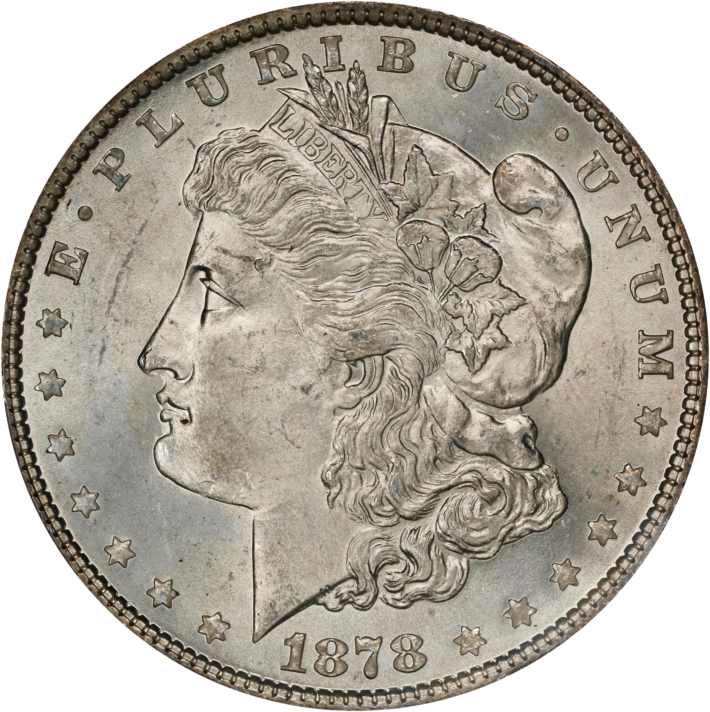 1878 7/8TF $1  Weak, 7/4, VAM-34A MS thumbnail 4